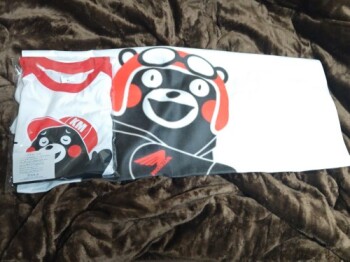 20251217�K�`���`�̉����炵��KN����񂩂璸�����a�����v���[���g