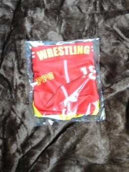 20251217�K�`���`�F�̃C�P����KZ���񂩂璸�����a�����v���[���g