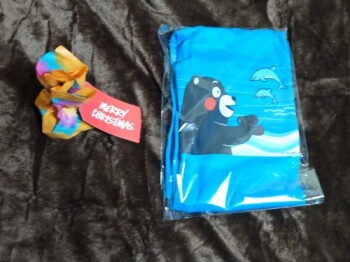 20251227TS���񂩂璸�����N���X�}�X�v���[���g