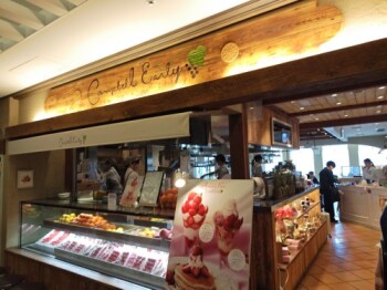 20260222�L�����x���E�A�[���[ ����1