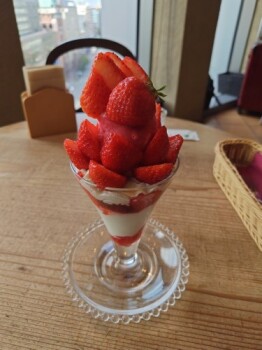 20260222�L�����x���E�A�[���[ ����2