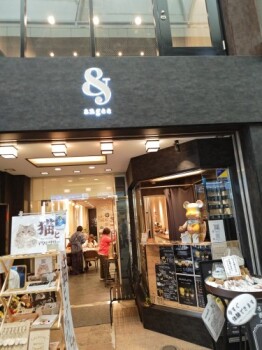 20260502�uANGEE CAFE�i�A���W�[�J�t�F�j�v